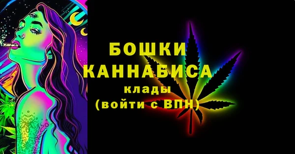 PSILOCYBIN Дмитриев