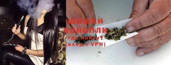 PSILOCYBIN Дмитриев