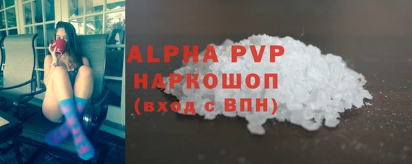 PSILOCYBIN Дмитриев