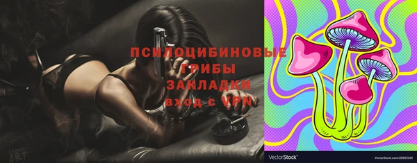 ECSTASY Дмитров