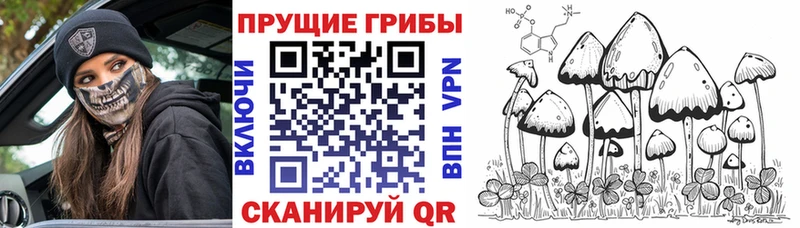 Псилоцибиновые грибы прущие грибы Купить где Мирный